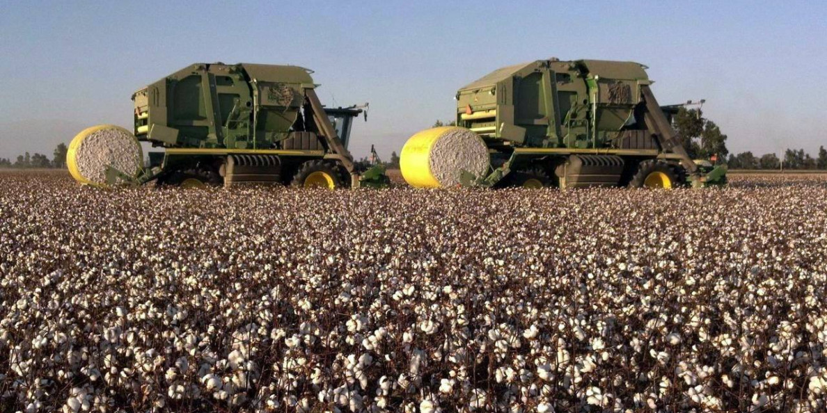 Thompson on Cotton: Strong Week Despite Month End Profit Taking